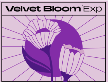 Native Instruments Velvet Bloom